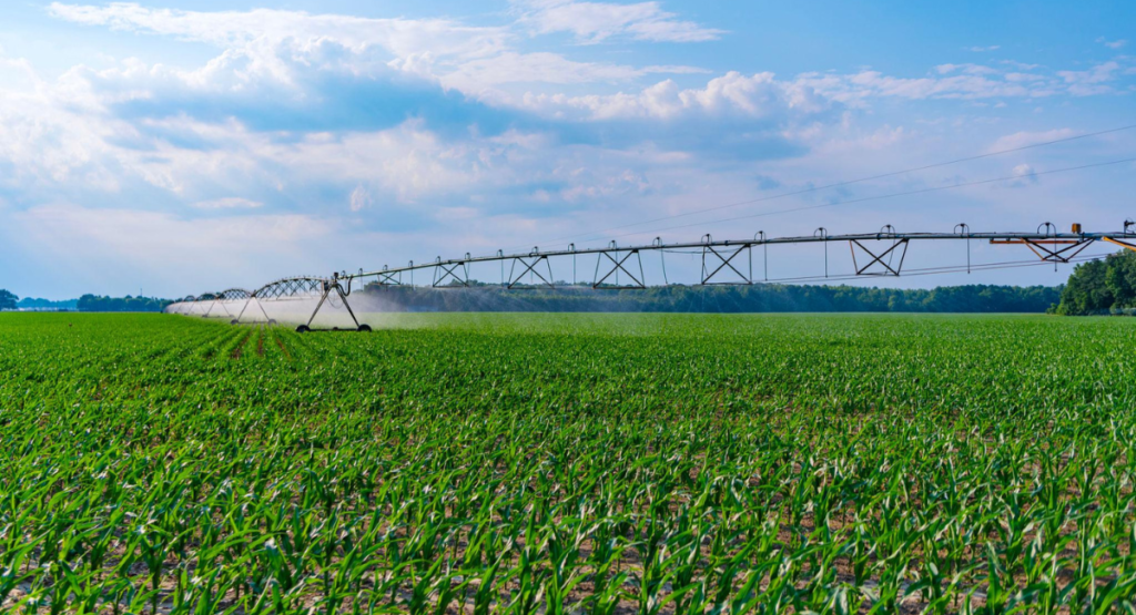 drip-irrigation-system.jpg