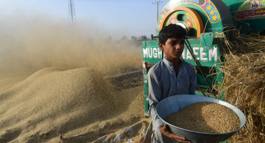 grain-market-pakistan.jpg