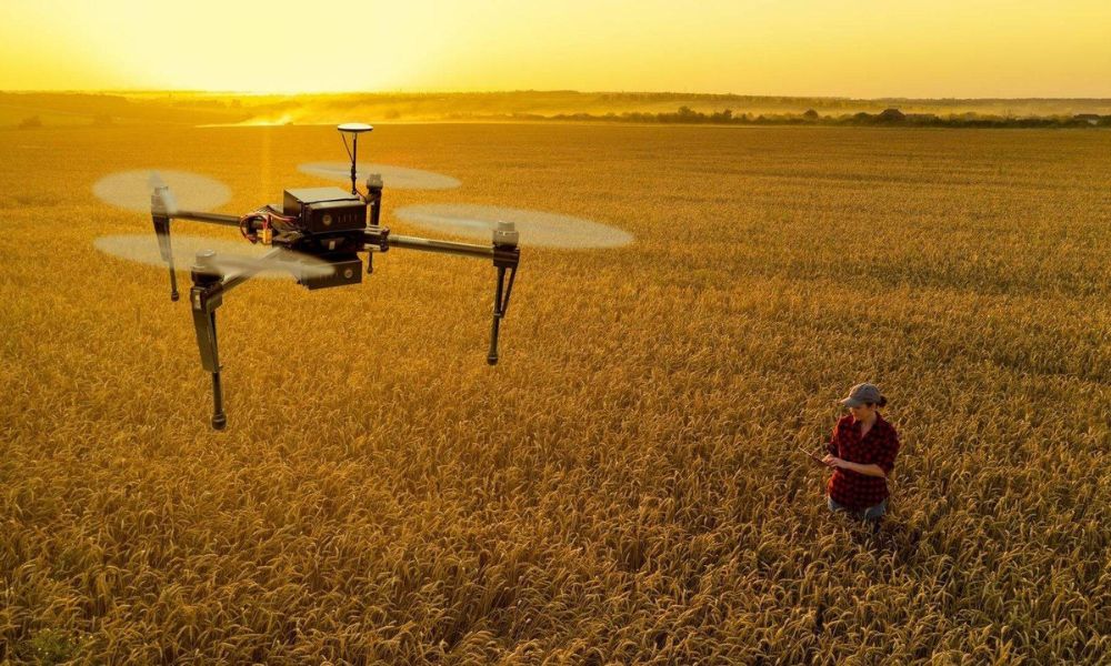 Pakistan Wheat, Vegetable & Fertilizer Market Rates Agri Rates Pakistan — Today Updated Rates (24 May 2026)