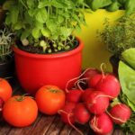 یوریا کھاد استعمال کرنے کا صحیح طریق