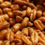 گندم میں دانہ موٹا کرنے کی بہترین کھاد 2026 | Wheat Grain Filling Fertilizer Guide Pakistan