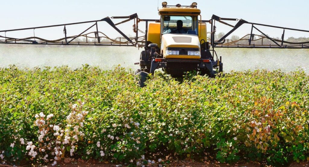 Cotton Crop Spray in Pakistan
