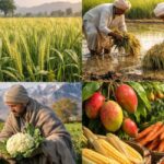پاکستان میں موسم کے حساب سے کاشت ہونے والی سبزیوں کی مکمل لسٹ 2026 | Seasonal Vegetables in Pakistan