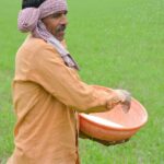 DAP کھاد کا صحیح استعمال 2026 – مکمل رہنمائی اور فی ایکڑ مقدار
