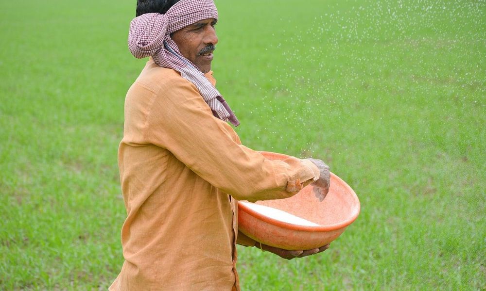 DAP کھاد کا صحیح استعمال 2026 – مکمل رہنمائی اور فی ایکڑ مقدار