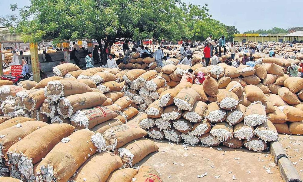 Cotton Price in Pakistan 2026 – کپاس کے ریٹ، مارکیٹ صورتحال اور کسانوں کے لیے مکمل رہنمائی کپاس کے ریٹ کم ہونے کی وجوہات