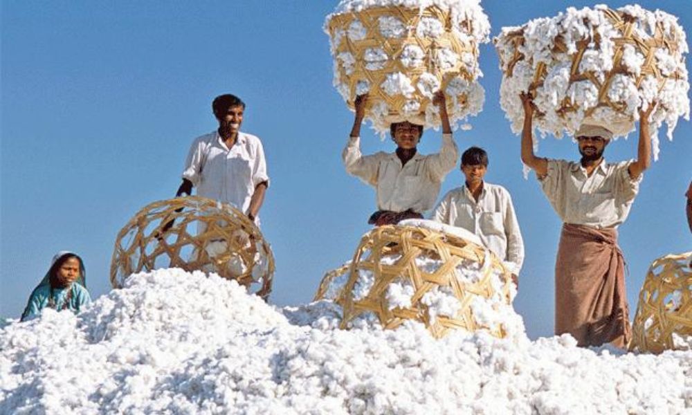 Cotton Price in Pakistan 2026 – کپاس کے ریٹ، مارکیٹ صورتحال اور کسانوں کے لیے مکمل رہنمائی